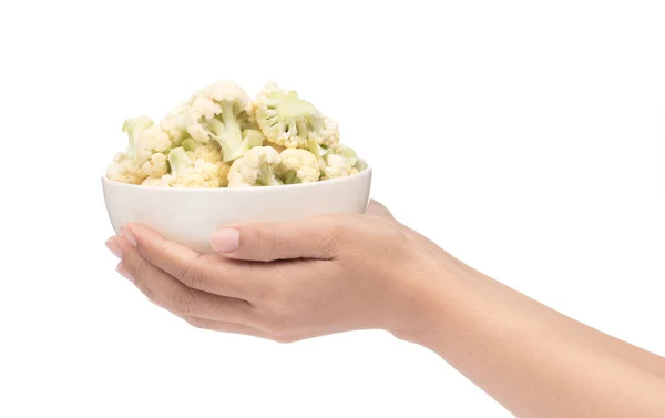 Hand holding pile of cauliflower on cup isolated on white backgr — Stockfoto