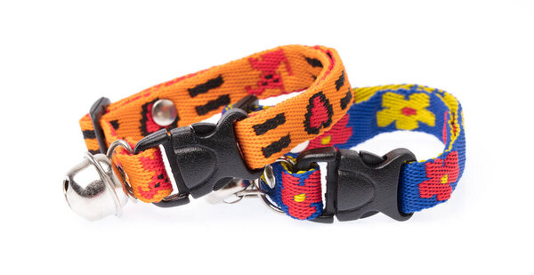 two dog collar isolated over white background