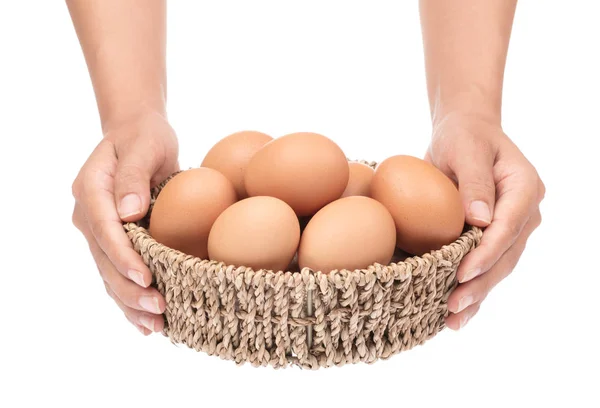 Hand holding eggs in basket isolated on white background Royalty Free Stock Images