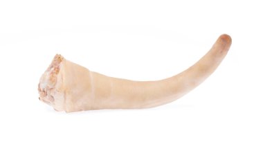 pork tail isolated on white background 