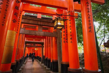 Kyoto, Japonya - 15 Nisan 2015: Fushimi Inari 's Red Torii kapıları