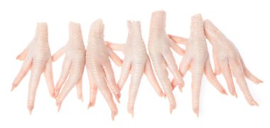 Beyaz arka planda çiğ tavuk ayağı izole