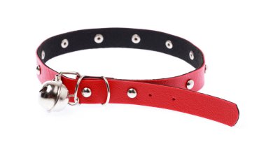 Beyaz bir arka plan üzerinde izole köpek yaka