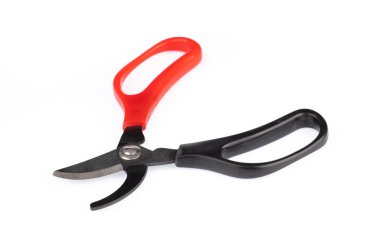 secateurs for cutting branches isolated on white background