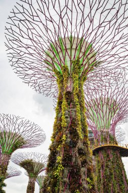 SINGAPORE - FEBRUARY 18, 2017: Gardens by the Bay Singapore with