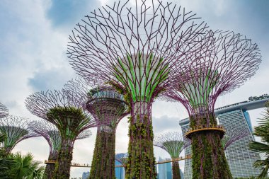 Singapore. February 18, 2017: Gardens by the Bay Singapore with 