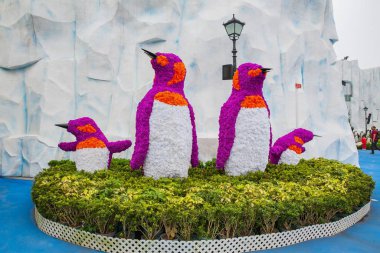 Hong Kong - March 18, 2016:Ocean Park is a marine mammal park, o