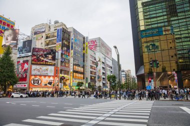 JAPAN - October 22, 2016: People and Tourist at Akihabara shoppi