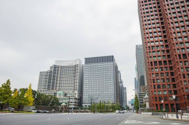 Japonya - 22 Ekim 2016: Yürüme yolu boyunca ağaçlar 