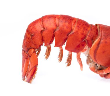 Cooked shrimp Lobster isolated on white background