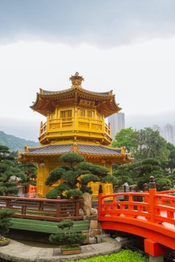Hong Kong 'daki Nan Lian bahçesinde altın bir pagoda.
