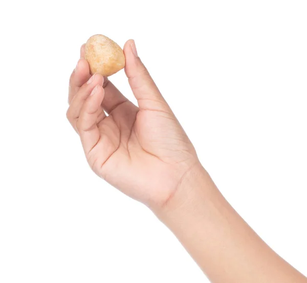 Hand holding mushroom isolated on white background — 스톡 사진