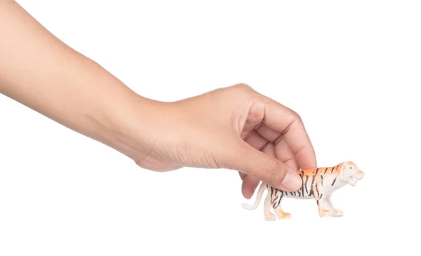 Рука тримає пластиковий тигр ізольовано на білому тлі . — стокове фото