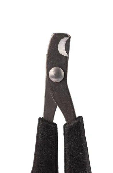 Ножиці для тваринного нігтя ізольовані на білому тлі . — стокове фото