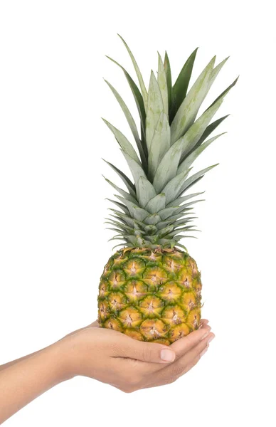 Hand holding Pineapple isolated on white background. — Stok fotoğraf