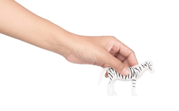 Рука тримає іграшкову зебру з пластику ізольовано на білому фоні — стокове фото