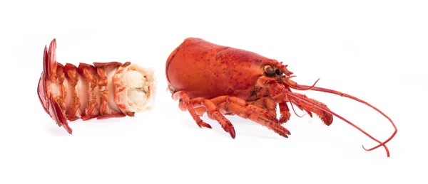 Хвіст з головою Shrimp Lobster ізольований на білому тлі — стокове фото