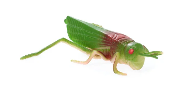 Grasshopper juguete de juego de plástico aislado sobre fondo blanco —  Fotos de Stock