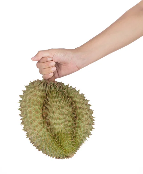 Hand holding Durians fruits isolated on white background — 图库照片