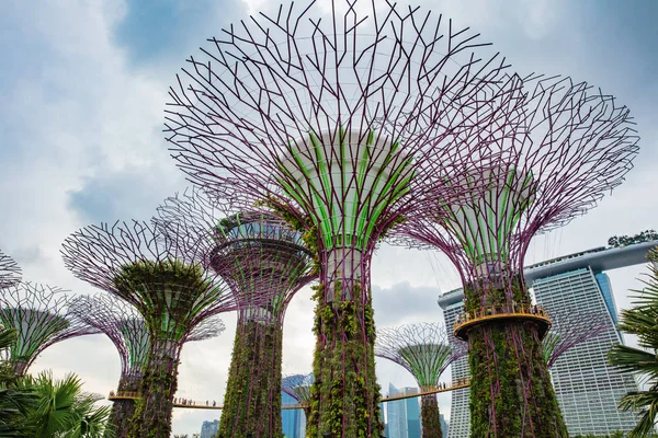 Singapur. 18 de febrero de 2017: Jardines junto a la Bahía de Singapur con —  Fotos de Stock