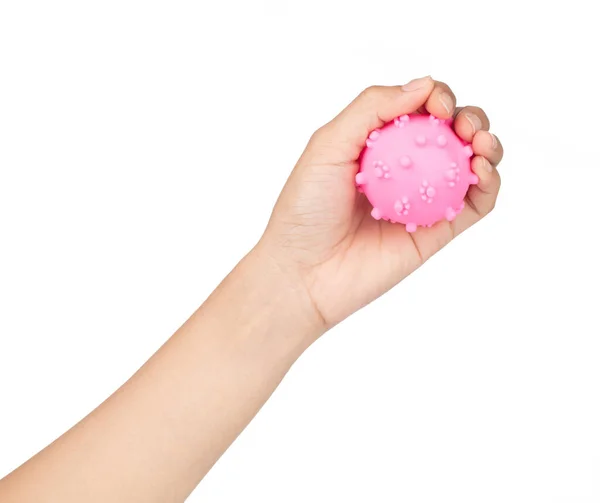 Hand holding Ball toy for pet isolated on white background — Stock Photo, Image