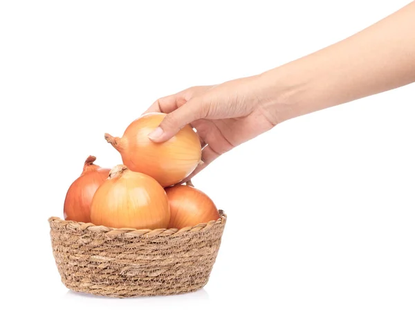 Mano sosteniendo cebolla en cesta aislada sobre fondo blanco — Foto de Stock