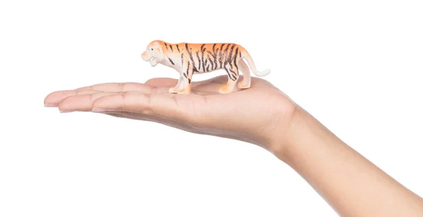 Mano tenuta tigre di plastica isolato su sfondo bianco . — Foto Stock