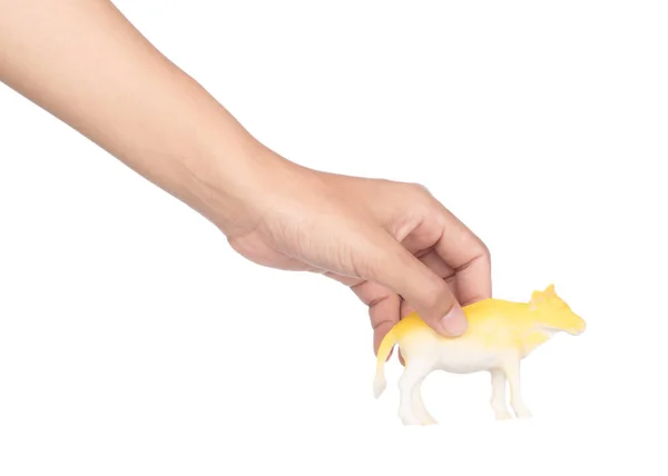 Mão segurando brinquedo plástico de vaca para crianças isoladas no backgrou branco — Fotografia de Stock
