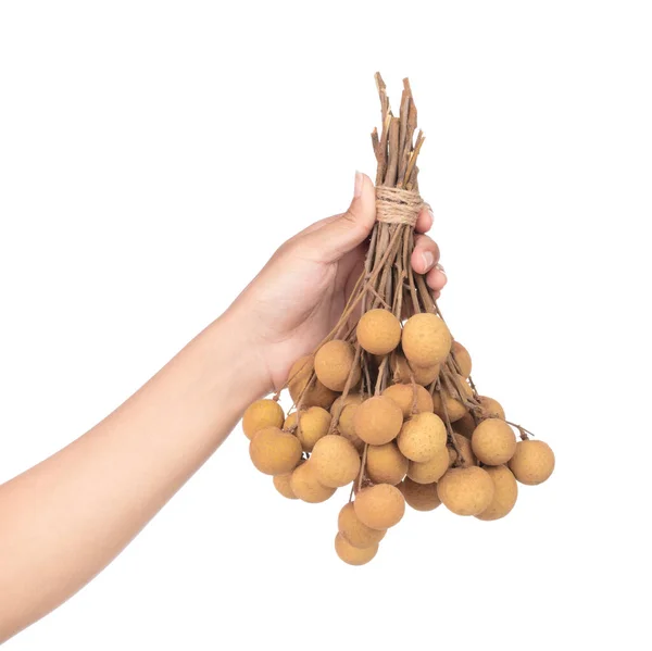 Hand holding bunch of longan isolated on white background — 图库照片