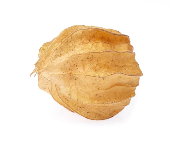 Cape Gooseberry geïsoleerd op witte achtergrond — Stockfoto