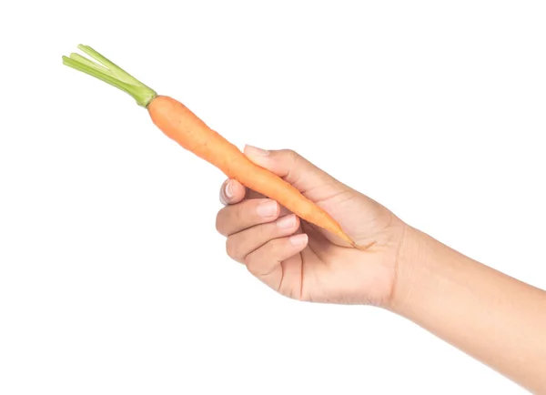 Hand holding fresh baby carrot isolated on white background. — ストック写真