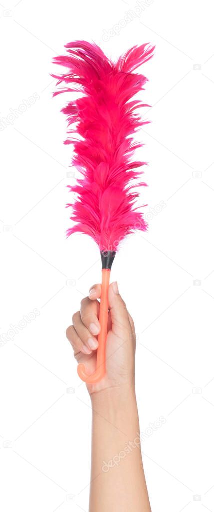 Hand holding pink plastic feather duster isolated on white backg