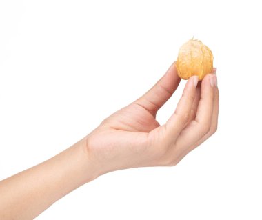hand holding Cape gooseberry isolated on white background