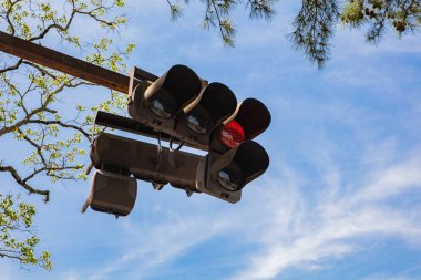 Traffic Light in red and trees at the background