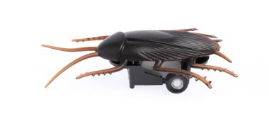 Toy Cockroaches isolated on white background