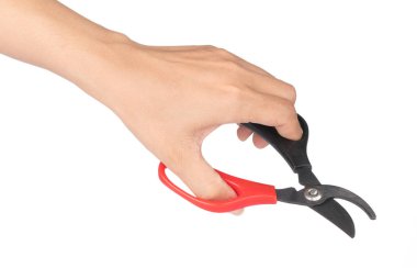 Beyaz Ba 'da izole edilmiş dalları kesmek için el ele tutuşan kesiciler