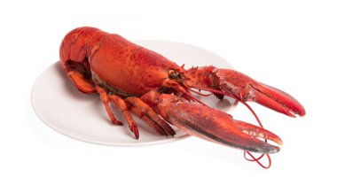 Lobster ,Boiled crayfish on dish isolated on white background