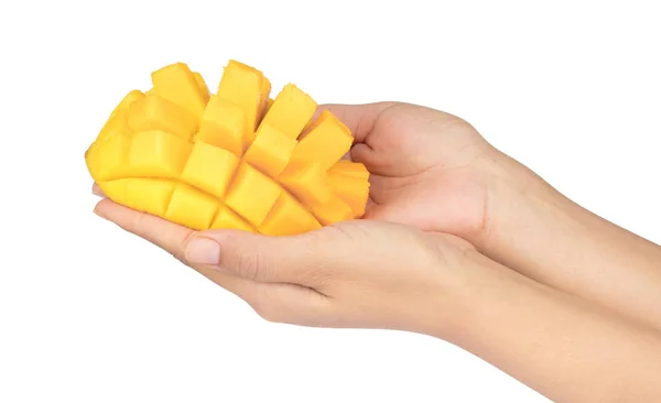Mano tenendo cubi e fette di mango isolato su sfondo bianco — Foto Stock