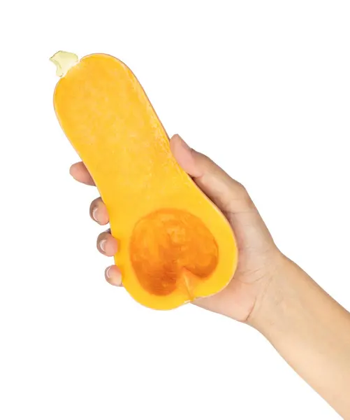 Kézi gazdaság Butternut squash elszigetelt fehér alapon. — Stock Fotó