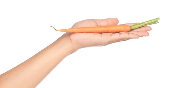Hand holding fresh baby carrot isolated on white background. — Stock Photo, Image