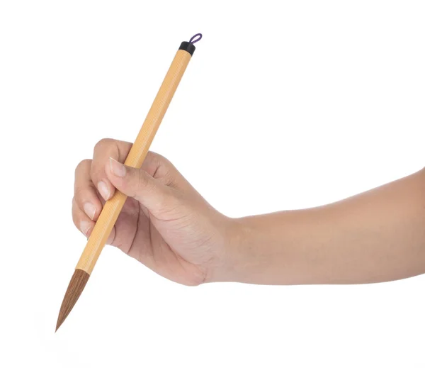 Hand holding A Paint Brush isolated on white background — Stock Photo, Image