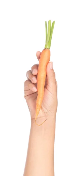 Hand holding fresh baby carrot isolated on white background. — Stock Photo, Image