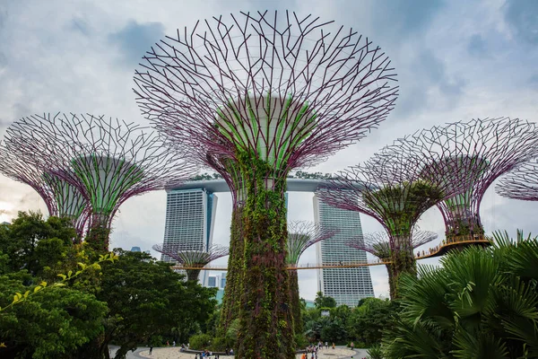 SINGAPUR - 18 DE FEBRERO DE 2017: Jardines junto a la Bahía de Singapur con —  Fotos de Stock
