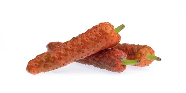 Čerstvé Long Pepper izolované na bílém pozadí — Stock fotografie
