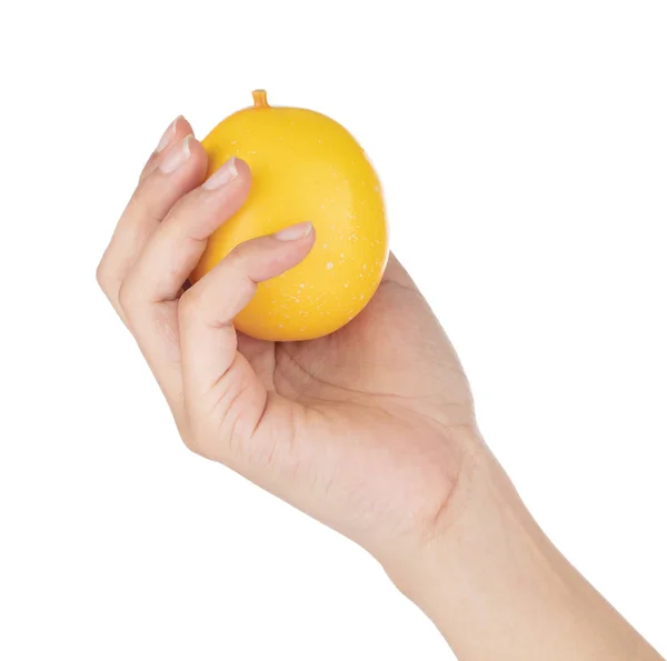 Mão segurando maracujá para decoração artificial fruta ornam — Fotografia de Stock