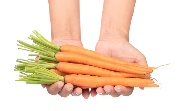 Hand holding fresh baby carrot isolated on white background. — Stock Photo, Image