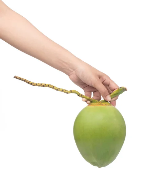 Рука тримає зелений кокос Фрукти ізольовані на білому тлі — стокове фото