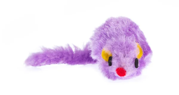 Plush mouse gato brinquedo isolado no fundo branco — Fotografia de Stock