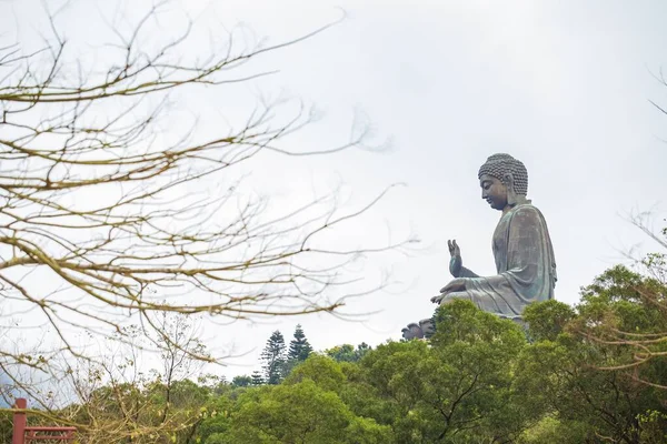 Bouddha géant monastère Po Lin est un monastère bouddhiste, situé o — Photo