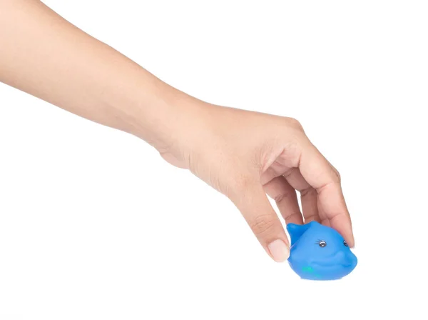 Mão segurando plástico brinquedo animal isolado no fundo branco — Fotografia de Stock